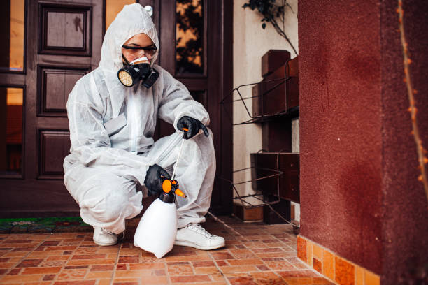 Attic and Crawl Space Rodent Treatment in Fort Thomas