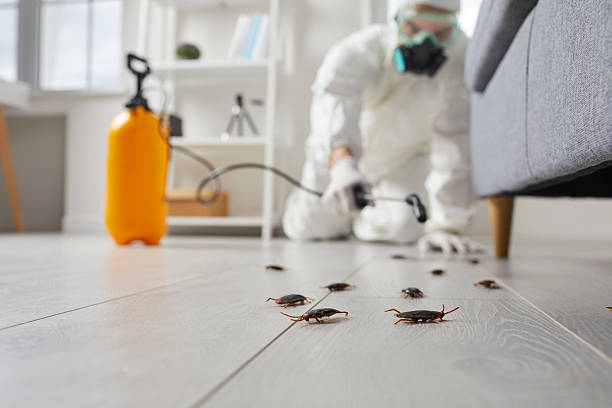 Commercial Rodent Management in Fort Thomas